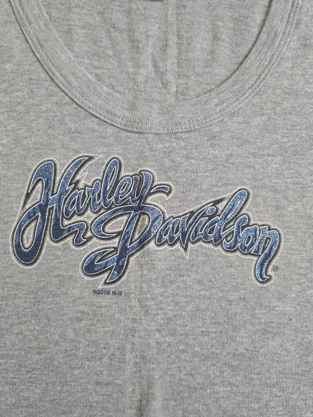 Harley-Davidson Women's Grey T-Shirt with Blue Logo